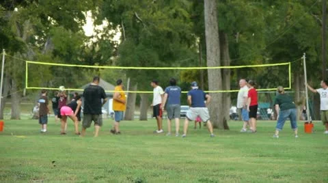 Volleyball in the Park Video stock 11901212