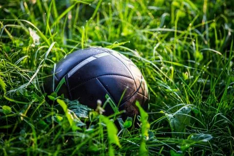 Volleyball Stock Photos