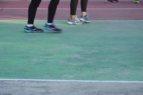 Volleyball 库存照片
