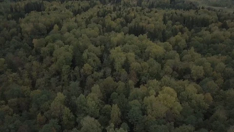 Volokolamsk  HD Stock Footage 101617558