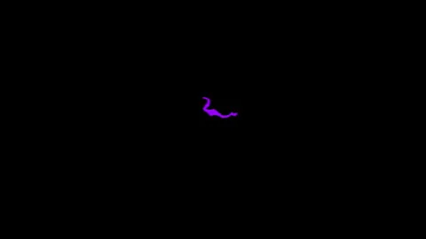 Voltage impact designed with vibrant neon purple electric wave pieces Stock Footage 346491814