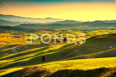 Volterra panorama, rolling hills, trees and green fields at sunset. Tuscany.. Stock Photos