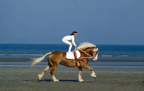 VOLTIGE Stock Photos