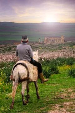 Volubilis in Morocco Stock Photos