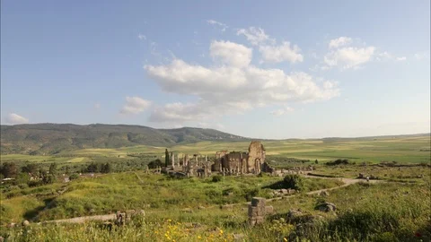 Volubilis in Motion Stock Footage 91880513