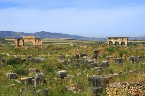 Volubilis Stock Photos
