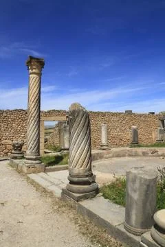 Volubilis Stock Photos