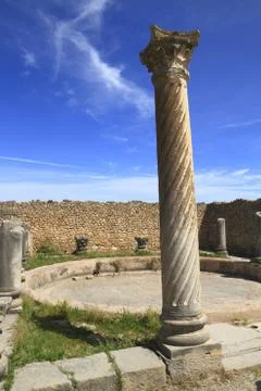 Volubilis Stock Photos