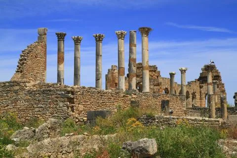 Volubilis Stock Photos