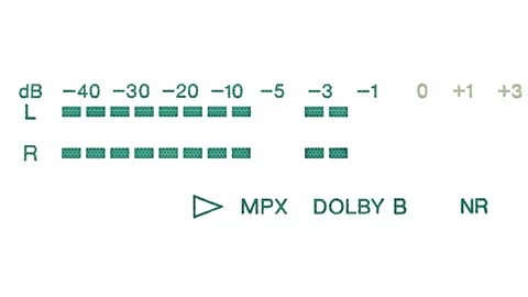 Volume display scale digital.Fluorescent peak level meter. Stock Footage 306571783