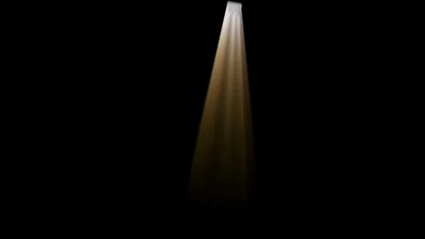 VolumeLight11 Video stock 336326202