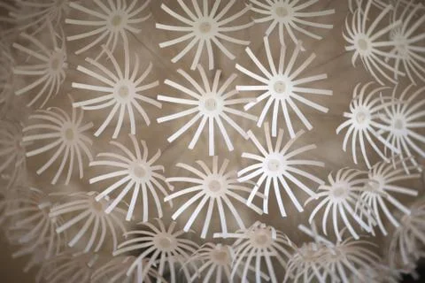 Volumetric decorative element in the interior. Stock Photos
