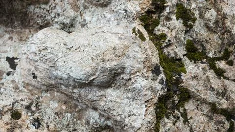 Volumetric stone texture, rock pattern Stock Photos