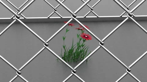 Voluntary self-isolation will pass quickly. Beautiful red flowers swing in a Stock Footage 128828799