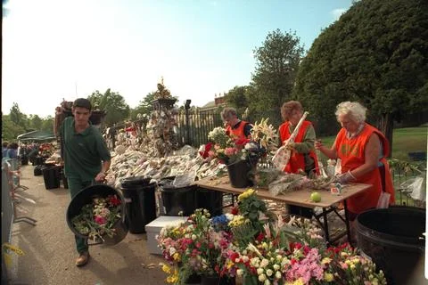 Voluntary Workers Amidst The Array Of Flowers And Mourners. Also The Wrvs Task F Stock Photos