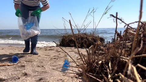 Volunteer bends down to collect plastic bottles and debris from sandy beach Vídeos de archivo 337452204