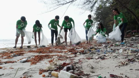 Volunteer cleaning beach 스톡 동영상 184268956