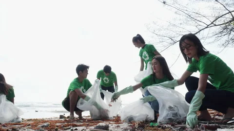 Volunteer cleaning beach Stock Footage 184277148