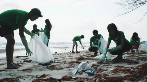 Volunteer cleaning beach Stock Footage 184278024