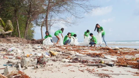Volunteer cleaning beach Stock Footage 184279550