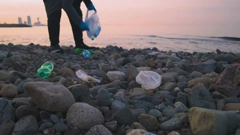 Volunteer cleaning beach from plastic garbage. Man picks up plastic bottles Stock Footage 232628038