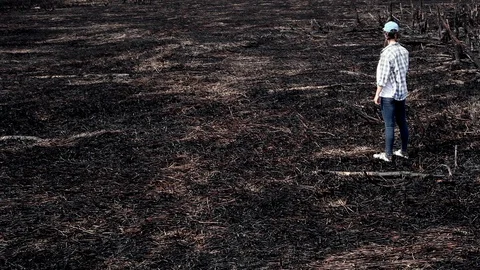Volunteer at the fire site Stock Footage 101326302