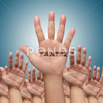 Volunteer group raising hands Stock Photos