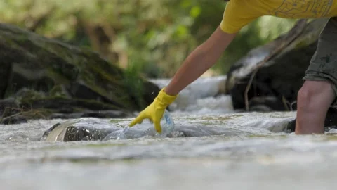 Volunteer hands picks up a plastic bottles from mountain river clean up waste Stock Footage 161163373