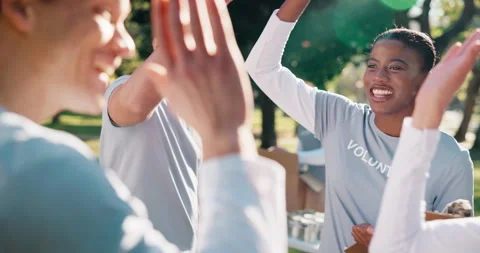 Volunteer, high five or team in park for planning, food distribution schedule or Stock-Footage 346121567