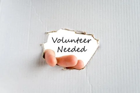 Volunteer needed text concept Stock Photos