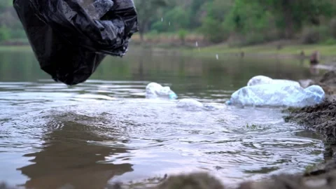 The volunteer picking up a bottle plastic in the river , protect environment Video stock 158532513
