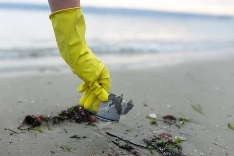 Volunteer picking up a crushed metal can during beach cleanup, highlighting Stock Photos