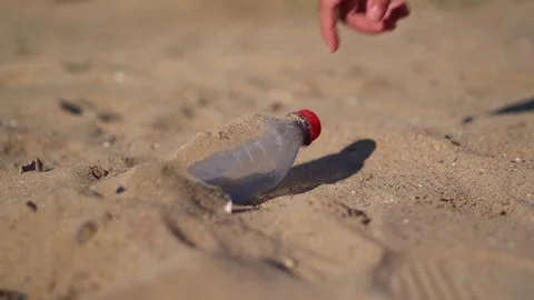 Volunteer picking up plastic bottle on a sandy beach Stock Footage 313554714