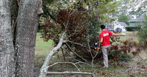 Volunteer Sawing Down Tree For Hurricane Relief Stock-Footage 104783165