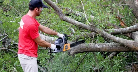 Volunteer Sawing Down a Tree For Hurricane Relief Vidéo 104783458