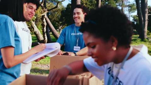 Volunteer, sorting or team in park with donation, clothing pack or inventory Stock Footage 347177637