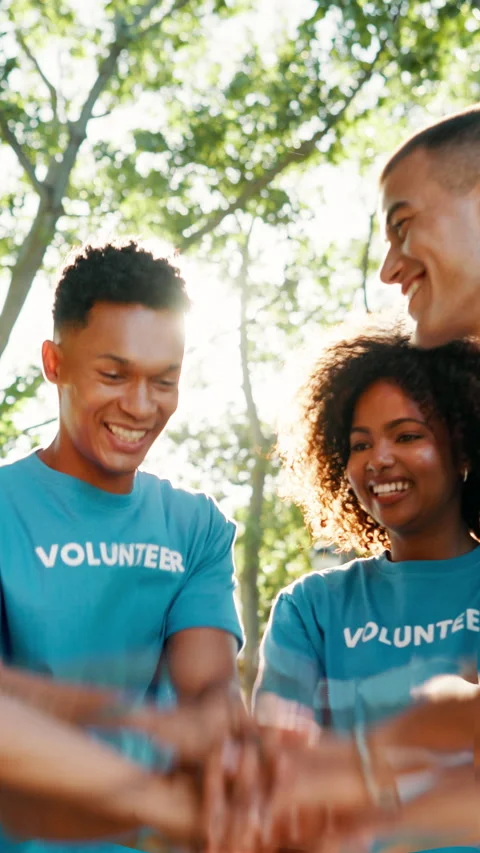 Volunteer, stack and hands of people in park for charity event, community Stock Footage 320096280