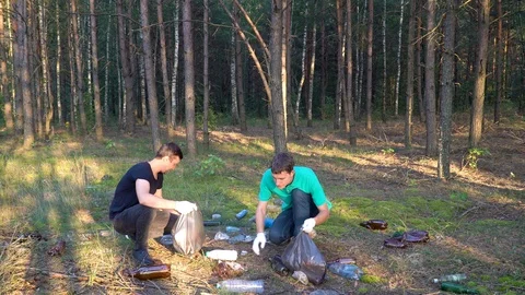 Volunteers clean up garbage in forest Video stock 118087561
