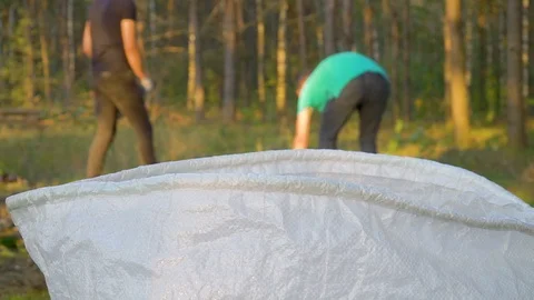 Volunteers clean up garbage in forest Stock Footage 118264606