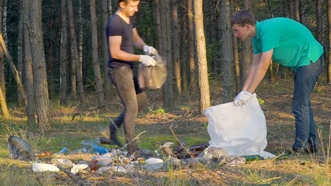 Volunteers clean up garbage in forest Stock Footage 118461216