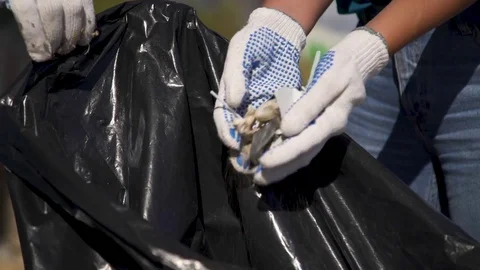 Volunteers cleaning the beach Stock Footage 84902889