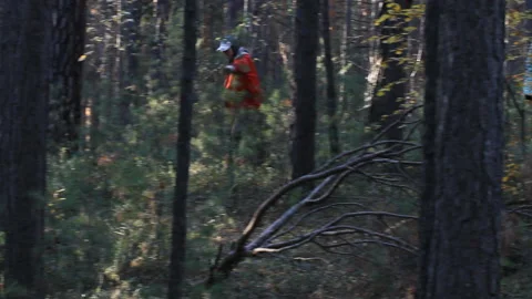 Volunteers comb the forest looking for a missing person Video stock 166663569