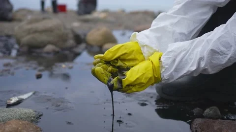 Volunteer's hands the problem of oil spill and pollution on the seashore Stock Footage 236289046
