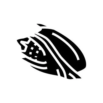 Volute sea shell beach glyph icon vector illustration Stock Illustration