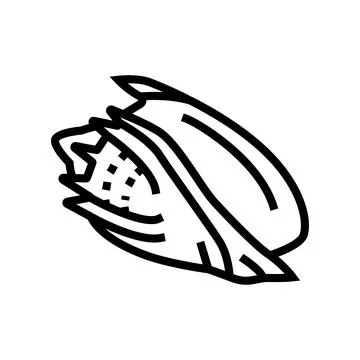 Volute sea shell beach line icon vector illustration Stock Illustration