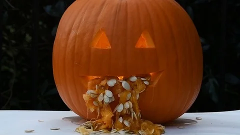 Vomiting carved jack-o-lantern isolated with copy space Stock Footage 95543995