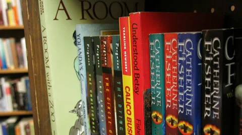 Vonnegut at used book store 스톡 동영상 33744063