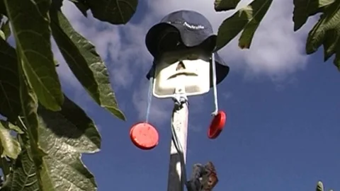 VOODOO BIRD SCARING DEVICE -  (HD) Stock Footage 122279359