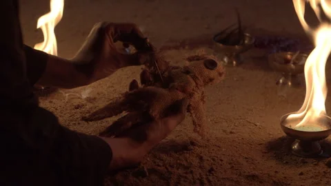 Voodoo Doll Ritual 库存影片 344038231