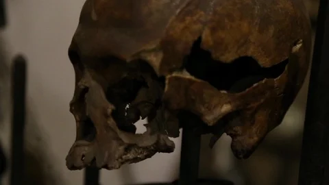 Voodoo skulls rack focus Stock Footage 107624377